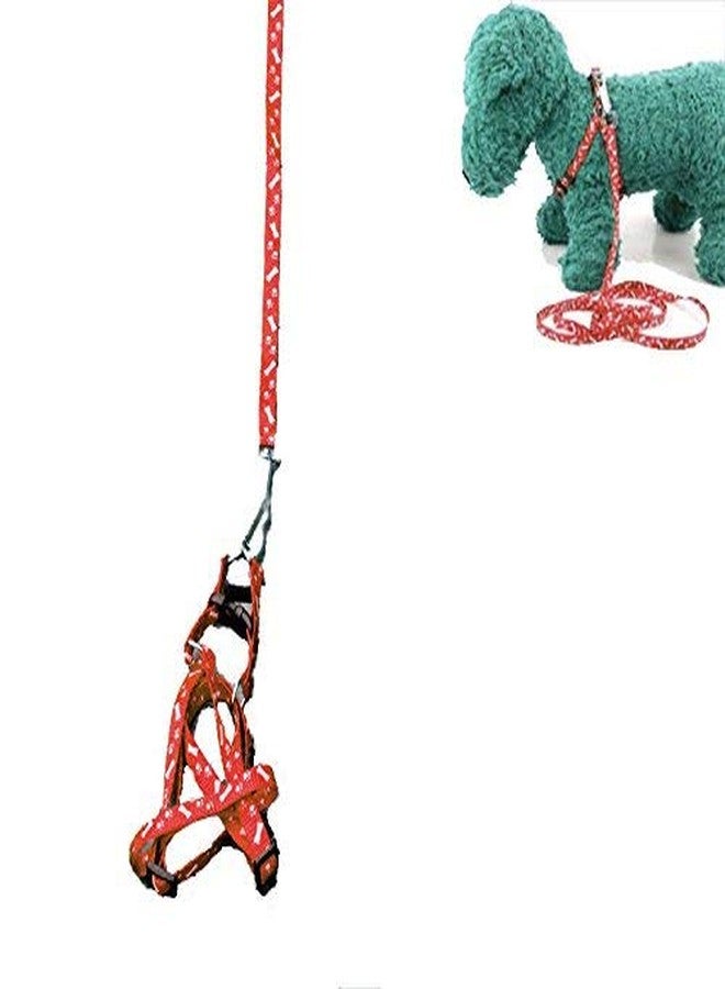 Nema NM Nema Pet Traction Rope Nylon Leash Harness Chest Collar Drawing Neck Lead Strap- Red - Image 2